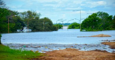 Paso de los Libres: El río Uruguay alcanzó los 11.54 mts